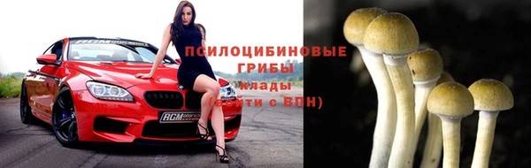 прущие грибы Бугульма