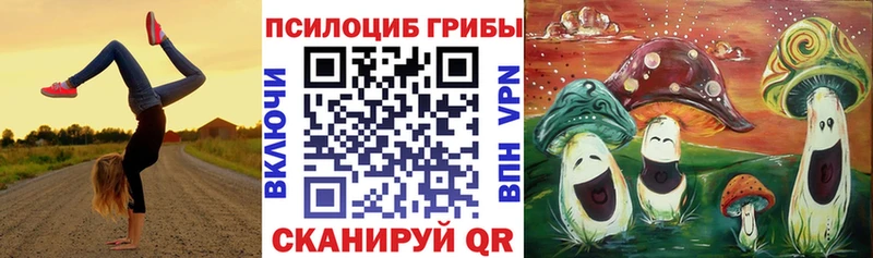 Псилоцибиновые грибы Magic Shrooms даркнет состав Качканар купить закладку